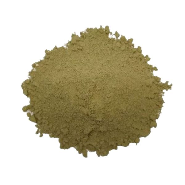 GINKGO BILOBA EM P� 